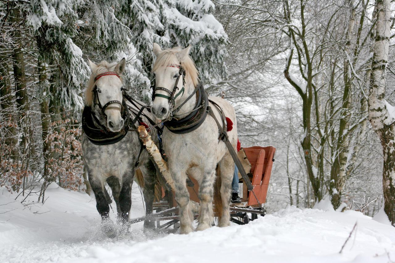 Garni Biancaneve Ruffre-Mendola Bagian luar foto