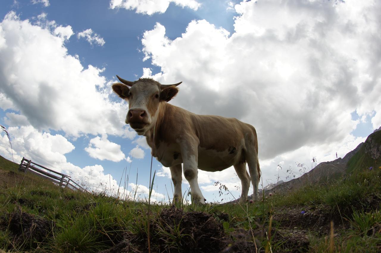 Garni Biancaneve Ruffre-Mendola Bagian luar foto